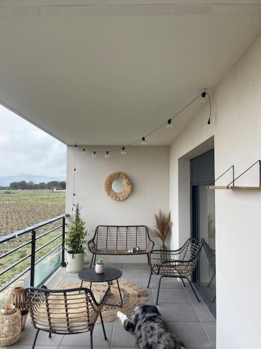 Appartement Vue Vigne Perpignan Exterior photo
